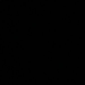 Meet your Posher, Abbey